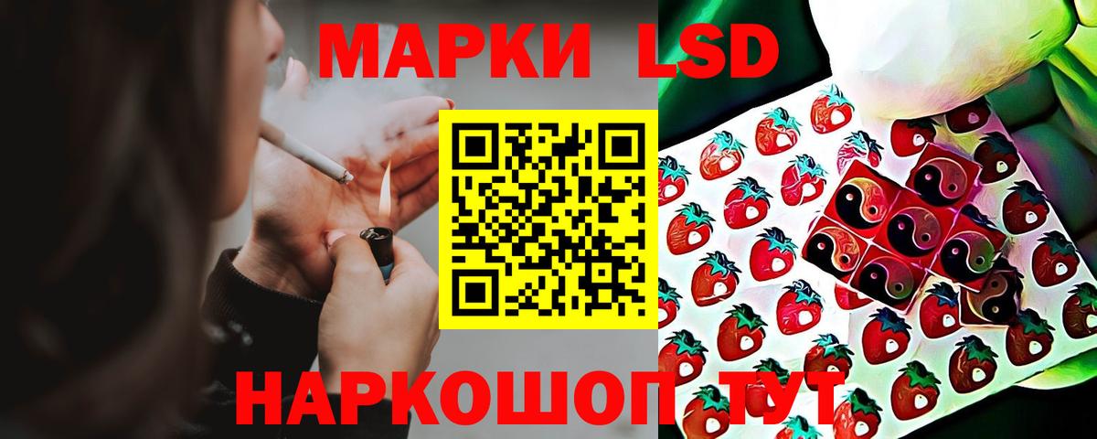 Лсд 25 экстази ecstasy  ОМГ ОМГ ONION  Бердск  Лсд 25 экстази  ЛСД экстази ecstasy  Вход с VPN 