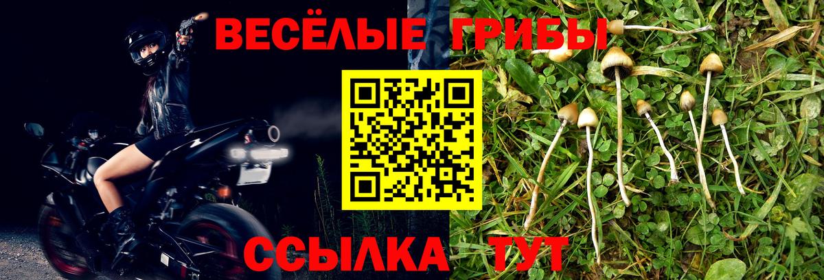 Бердск  Галлюциногенные грибы ЛСД  Вход с VPN  Галлюциногенные грибы Magic Shrooms 